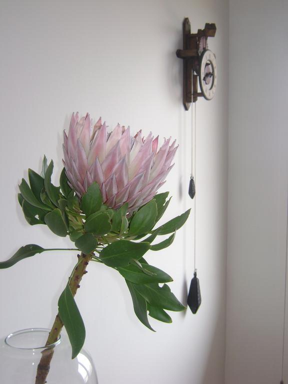 138 Marine Beachfront Guesthouse Hermanus Exteriör bild